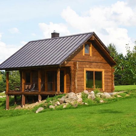 Vip Forest Dreams Villa Anyksciai Luaran gambar