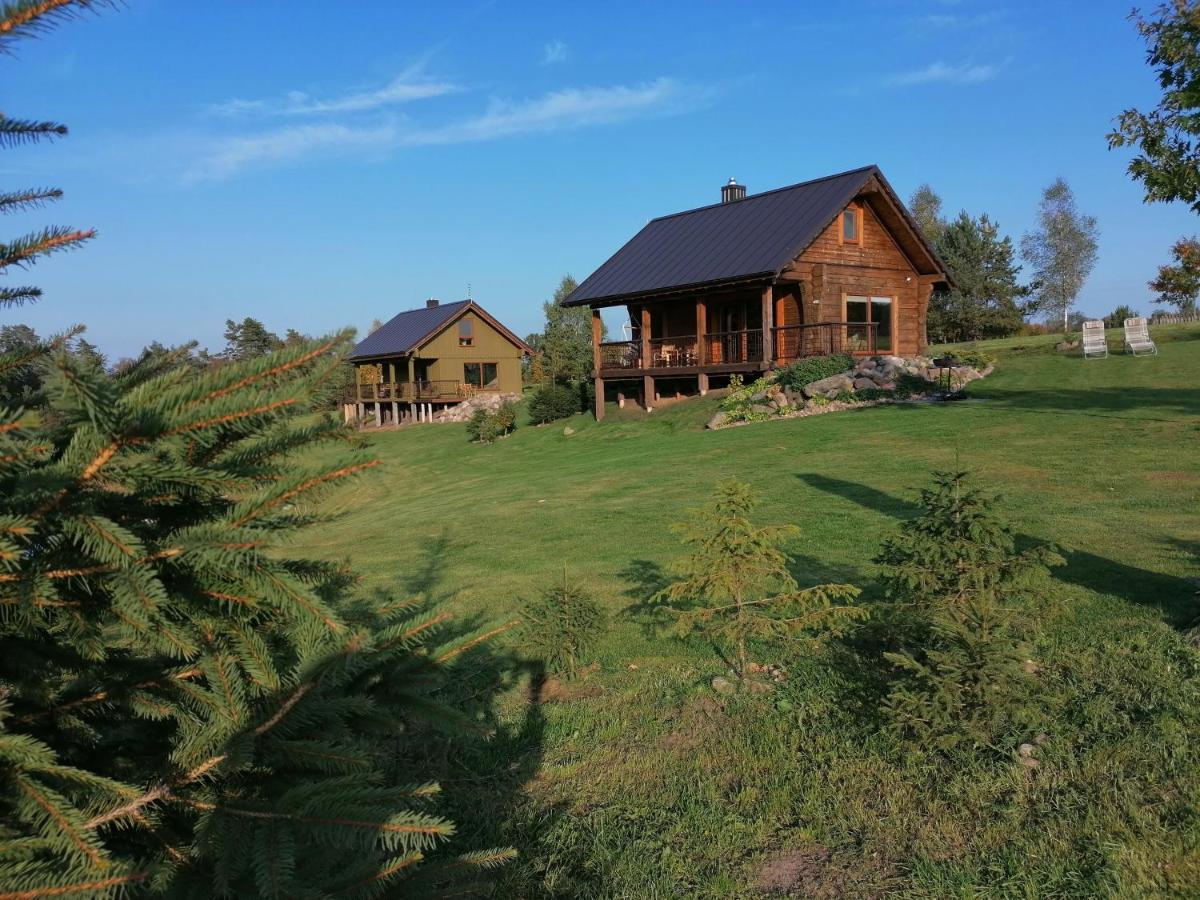 Vip Forest Dreams Villa Anyksciai Luaran gambar
