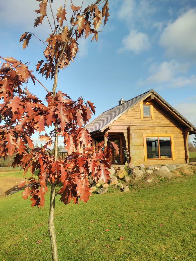 Vip Forest Dreams Villa Anyksciai Luaran gambar