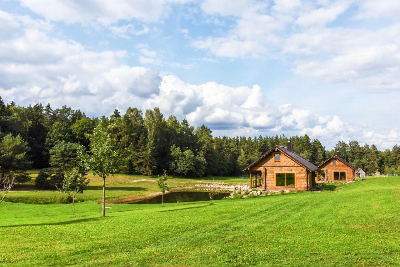 Vip Forest Dreams Villa Anyksciai Luaran gambar