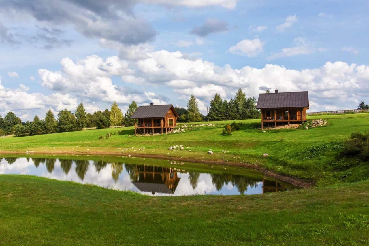 Vip Forest Dreams Villa Anyksciai Luaran gambar