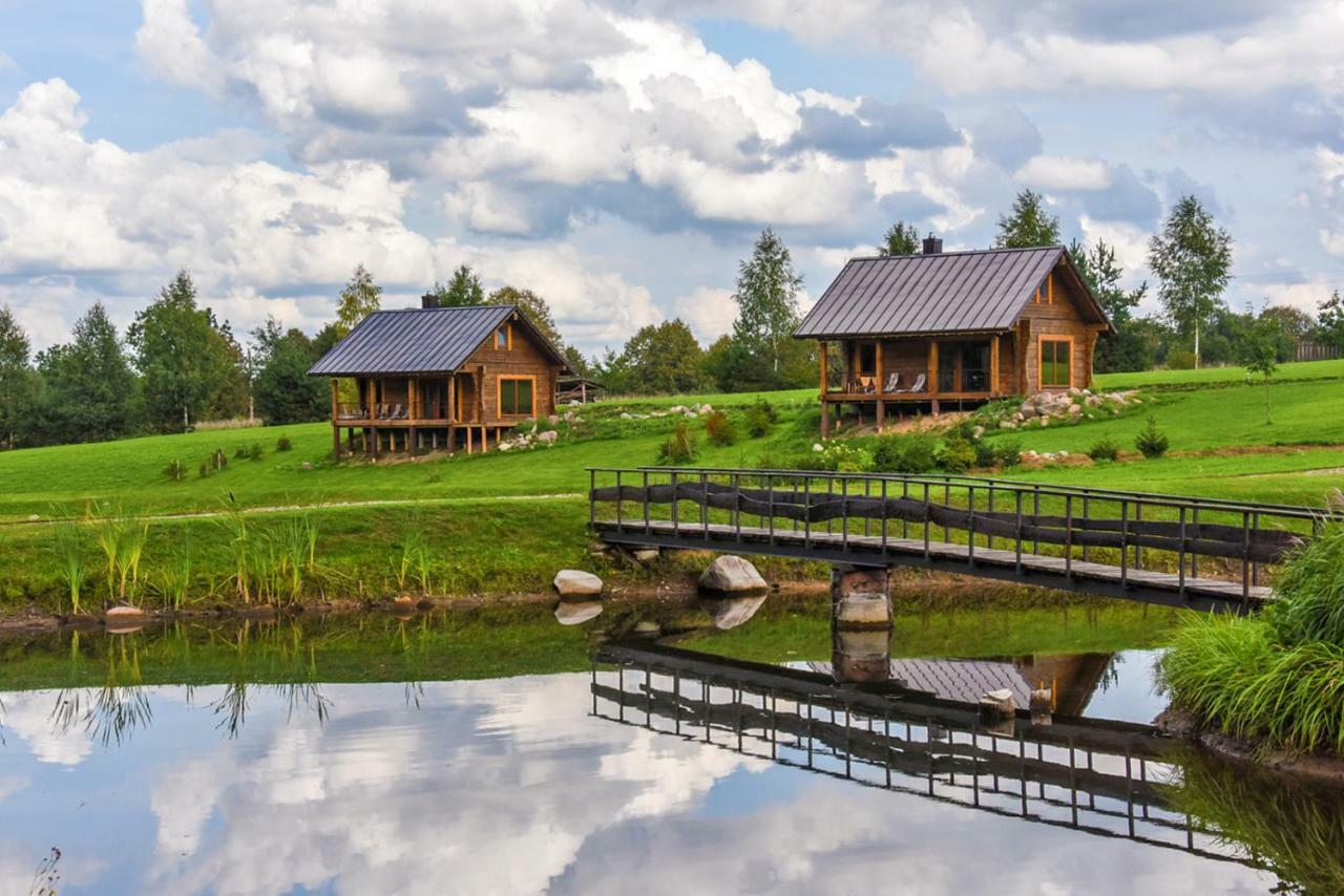 Vip Forest Dreams Villa Anyksciai Luaran gambar