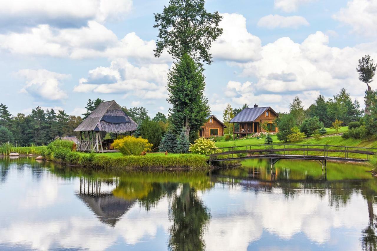 Vip Forest Dreams Villa Anyksciai Luaran gambar